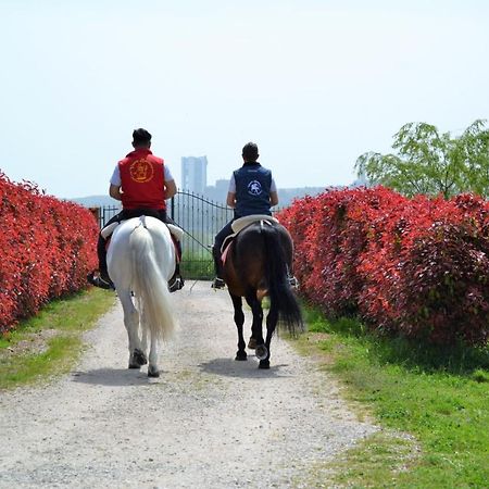 Vento Barocco - Equitazione E Turismo Villa Matera Bagian luar foto