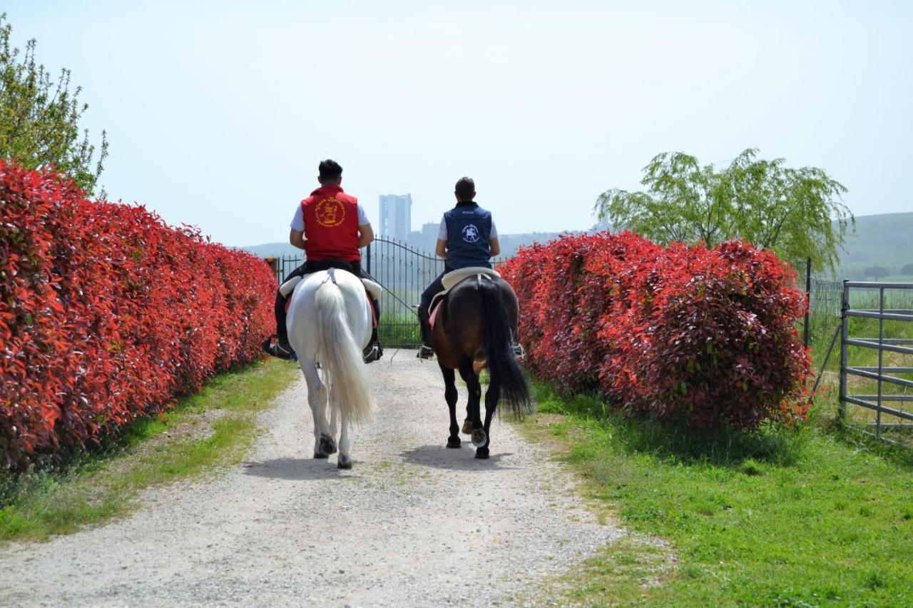 Vento Barocco - Equitazione E Turismo Villa Matera Bagian luar foto