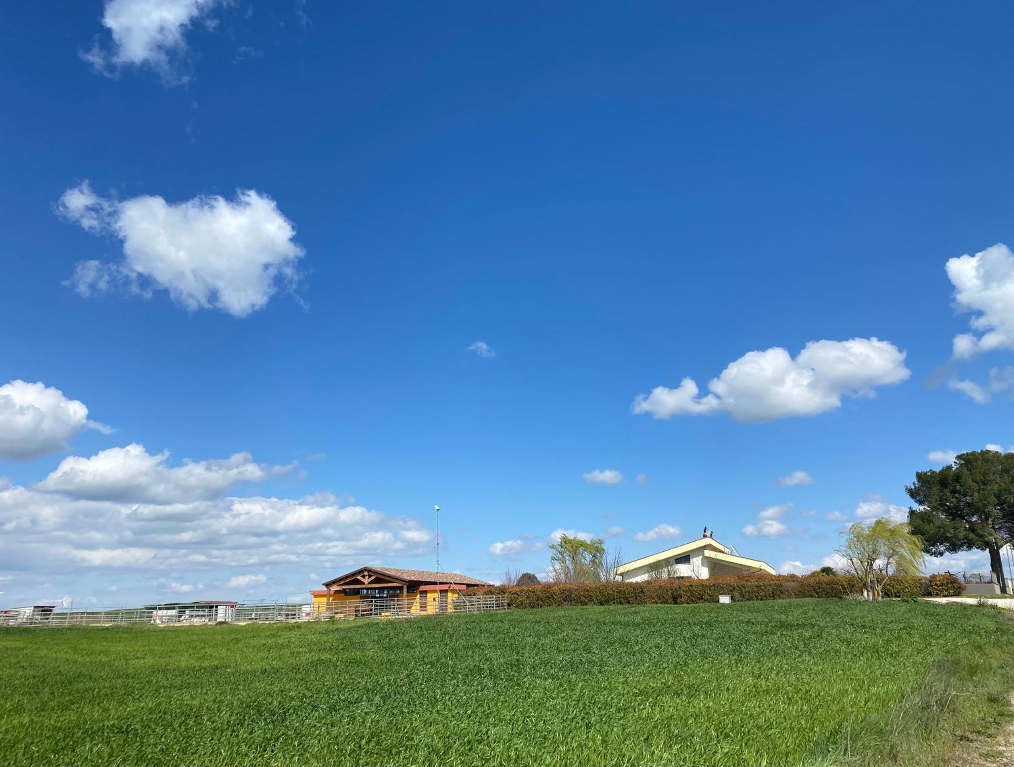 Vento Barocco - Equitazione E Turismo Villa Matera Bagian luar foto
